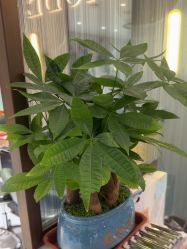 -木北护肤造型