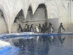 -太平洋海底世界