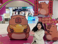 -盛京大奥莱(沈阳奥体店)