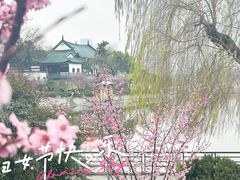 -月湖风景区