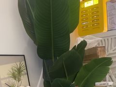 -北里·4k影院式足疗SPA馆(观音桥店)