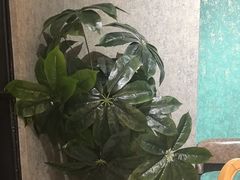-瓦国小镇·果木烤鸭·融合菜(西口店)