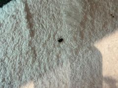 -海南清水湾莱佛士酒店