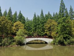 -东平国家森林公园