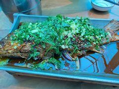 -树厨贵州菜(花果园购物中心店)