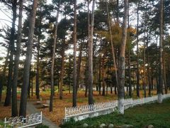 -黑龙江省森林植物园