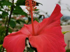 -东莞观音山旅游风景区