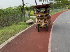 -上海长兴岛郊野公园