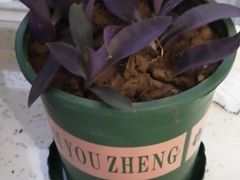 -韩风源自助烤肉(国贸精品店)