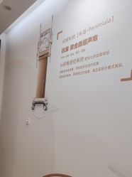 -加减美医美连锁品牌