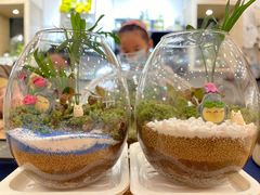 -光海书局(南京东路第一百货店)