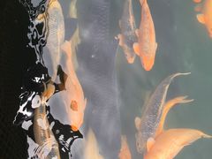 -龙潭峡谷漂流