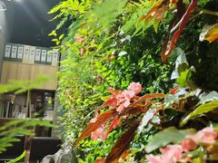 -森味薪火烧•烧鸟居酒屋•日本料理(望京店)