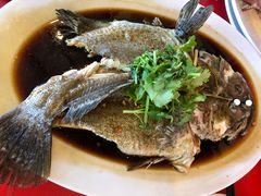 -大树下海鲜饭店