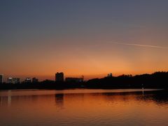 -海珠湖公园