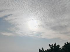 -日照海滨国家森林公园