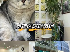 -美联众合动物医院·24h转诊中心