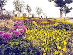 -昆山城市生态森林公园