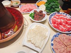 -东镇老火锅(长春路首店)