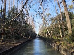 -上海滨江森林公园