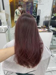 -潘多拉Hairsalon