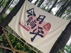 -花溪公园