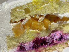-今日·TODAY手作低脂动物奶油蛋糕定制(高新万达店)