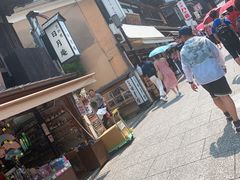-有栖山 清光院 清水寺