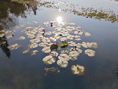 -云溪植物园