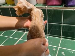 -山宅一喵德文卷毛猫舍
