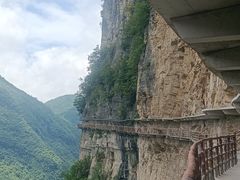 -鹿院坪生态旅游景区