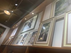 -皇室米澜摄影工作室(宝安店)