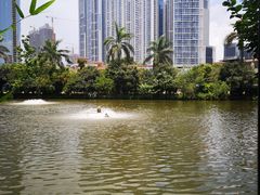 -绿雅居原生态农庄(小涌店)