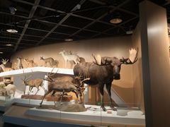 -陕西自然博物馆