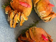 -食悦江南·淮扬菜·烤鸭(亚运村·惠新店)
