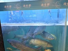 -鱼粤鲜淘米捞·中山脆肉鲩火锅(悦湖会店)