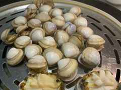 花蛤-蔚海之都·象山蒸汽海鲜(仙霞路店)