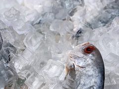 -7fresh七鲜(大族广场店)