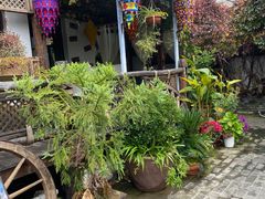 -慢丽江·云南野生菌土鸡锅(西山店)