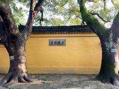 -西园戒幢律寺