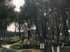 -重庆市江北嘴中央商务区中央公园