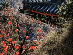 -香山公园