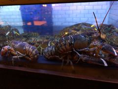-Burger & Lobster(Dean Street)