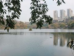 -重庆彩云湖湿地公园