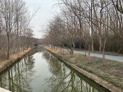 -日照海滨国家森林公园