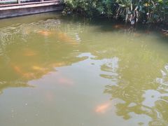 -枫香湖儿童公园