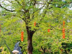 -南沙蒲洲花园
