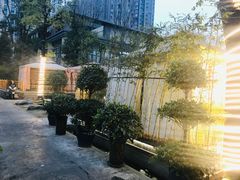 -二荆条·蜀鲜汇城市森林火锅