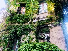 -璐坊粽王(复兴中路店)