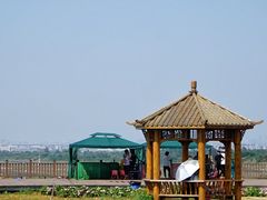 -空港花田景区